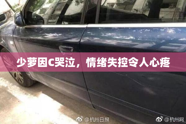 少萝因C哭泣，情绪失控令人心疼