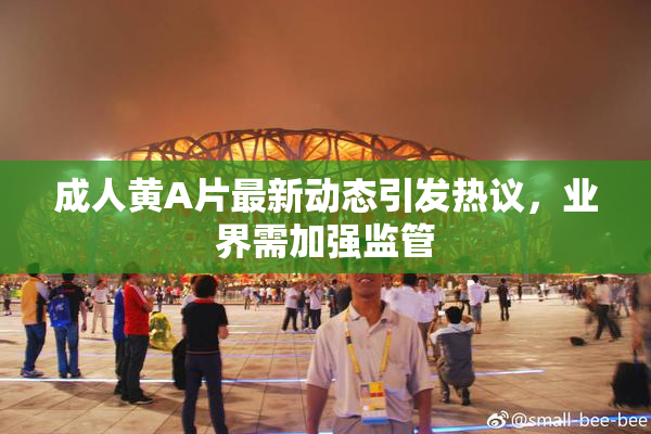 成人黄A片最新动态引发热议，业界需加强监管