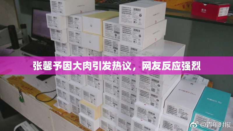 张馨予因大肉引发热议，网友反应强烈