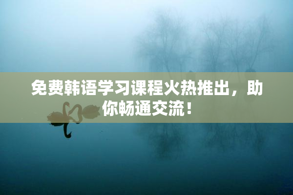 免费韩语学习课程火热推出，助你畅通交流！