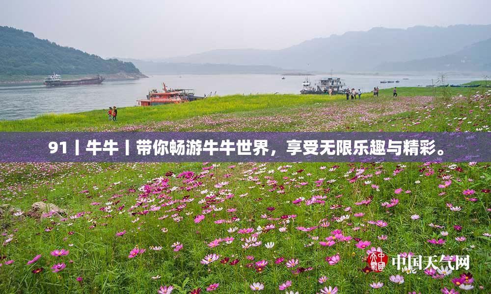 91丨牛牛丨带你畅游牛牛世界，享受无限乐趣与精彩。