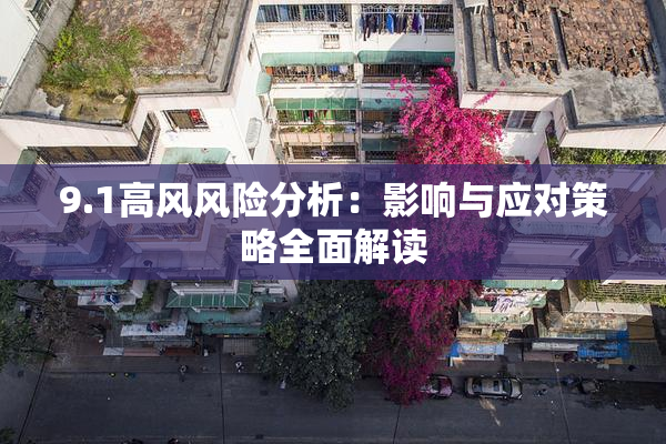9.1高风风险分析：影响与应对策略全面解读