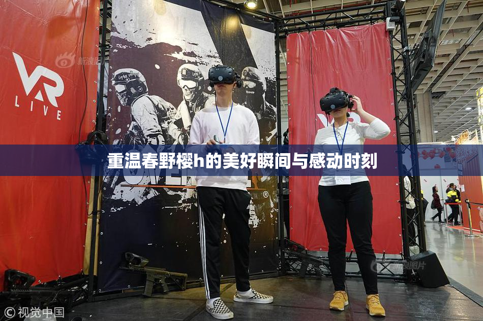 重温春野樱h的美好瞬间与感动时刻