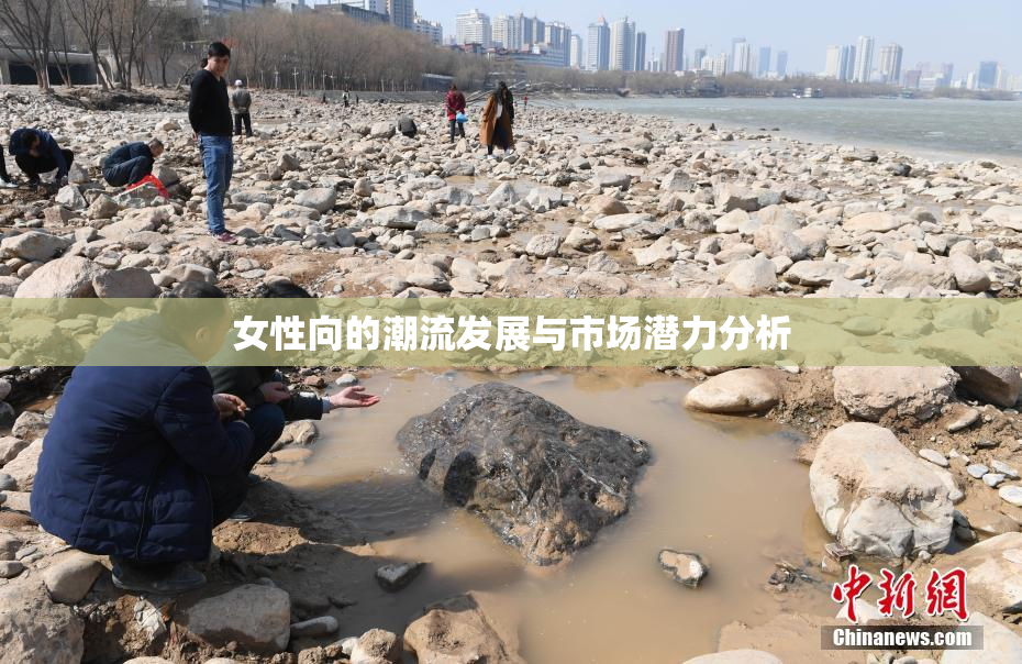 女性向的潮流发展与市场潜力分析