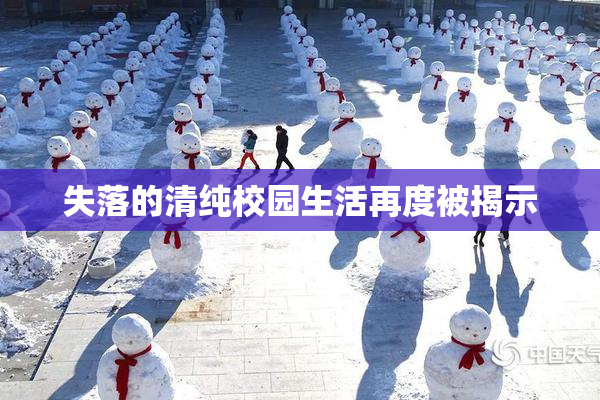 失落的清纯校园生活再度被揭示
