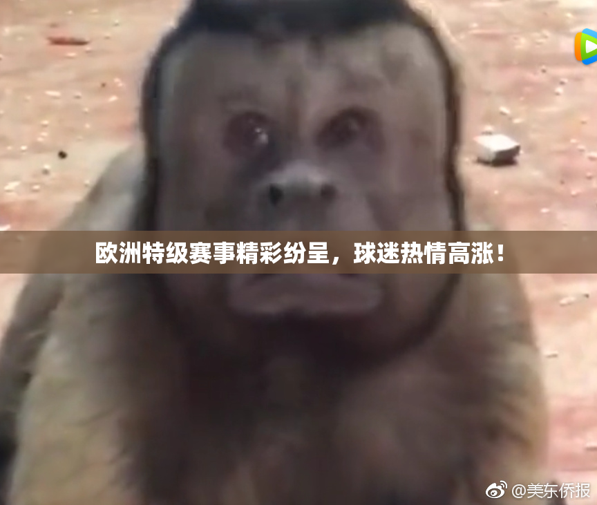欧洲特级赛事精彩纷呈，球迷热情高涨！