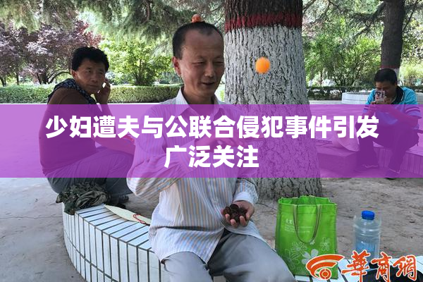 少妇遭夫与公联合侵犯事件引发广泛关注