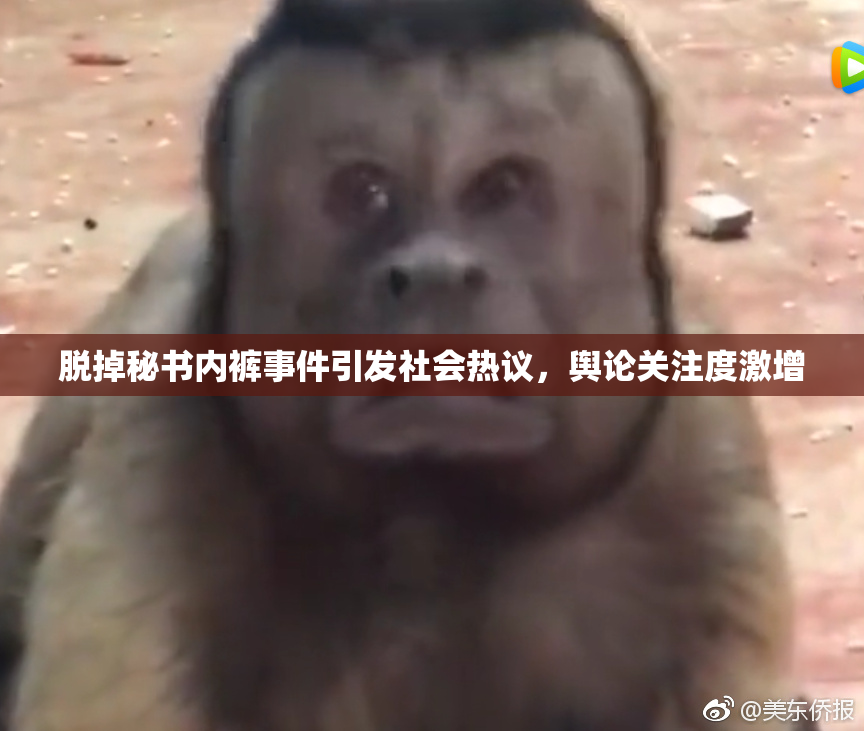 脱掉秘书内裤事件引发社会热议，舆论关注度激增