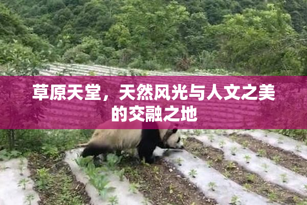 草原天堂，天然风光与人文之美的交融之地
