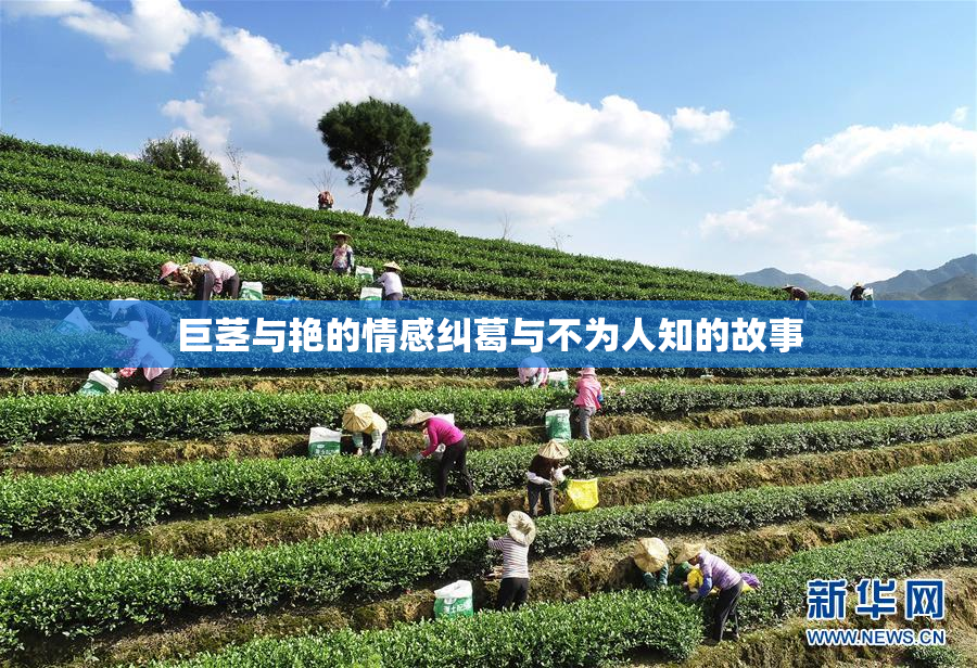 巨茎与艳的情感纠葛与不为人知的故事