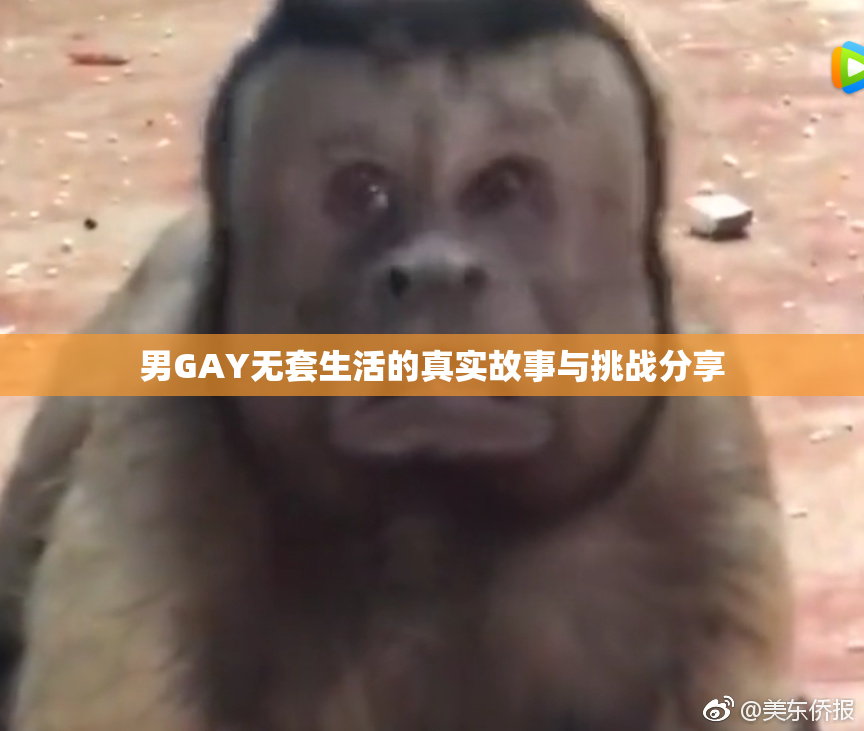男GAY无套生活的真实故事与挑战分享