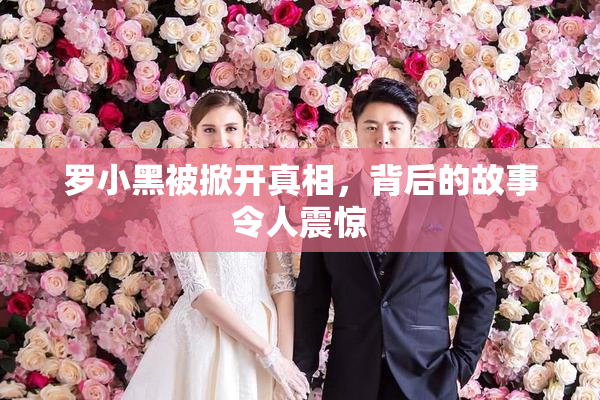 罗小黑被掀开真相，背后的故事令人震惊
