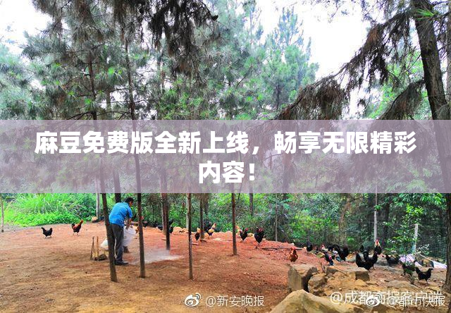 麻豆免费版全新上线，畅享无限精彩内容！