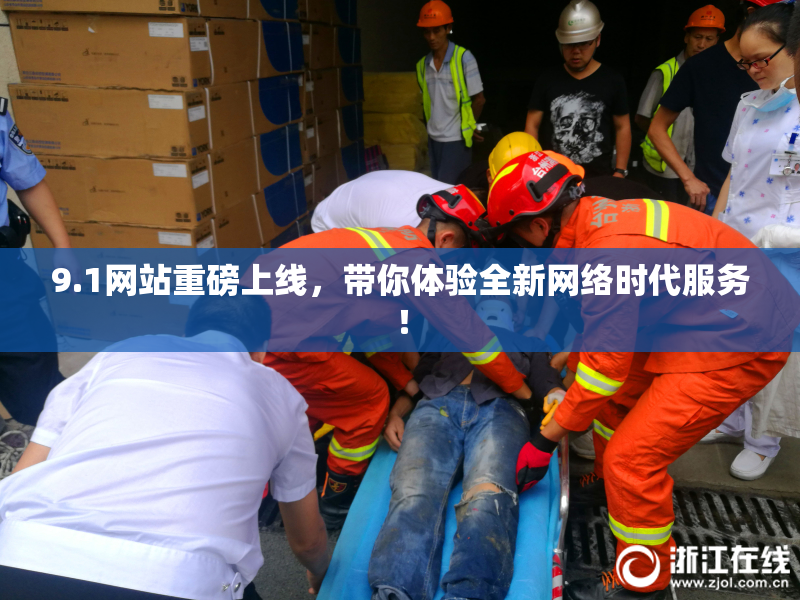 9.1网站重磅上线，带你体验全新网络时代服务！