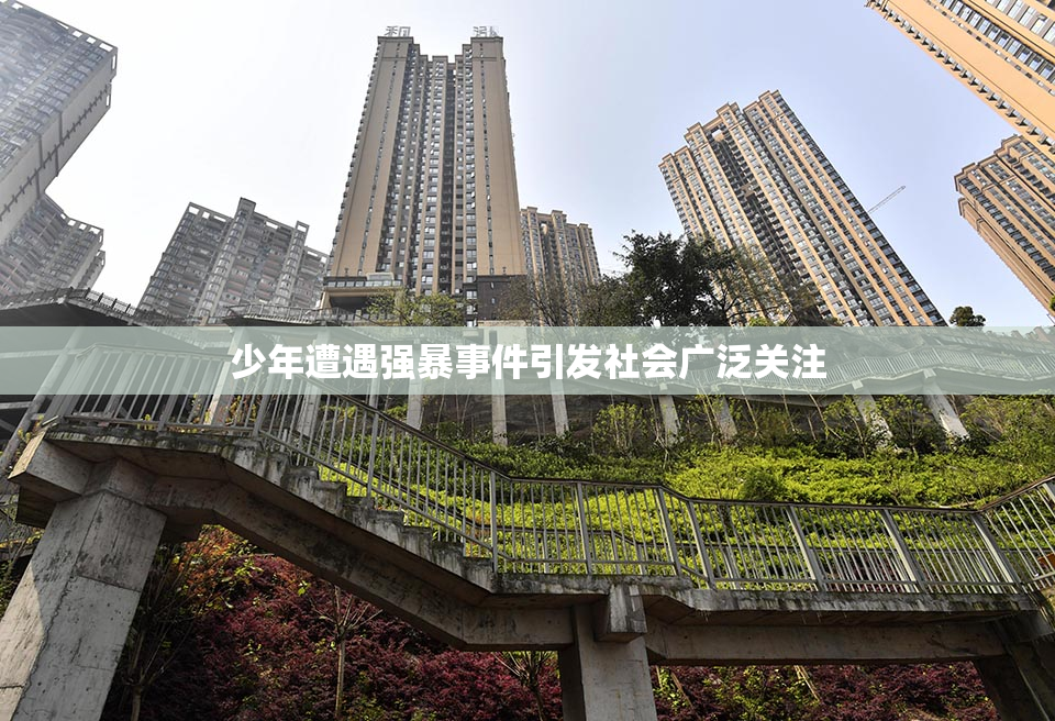 少年遭遇强暴事件引发社会广泛关注