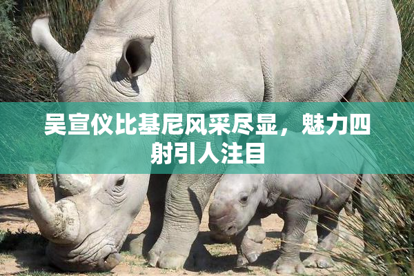 吴宣仪比基尼风采尽显，魅力四射引人注目