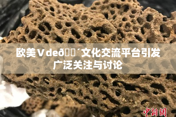 欧美Ⅴde🔴文化交流平台引发广泛关注与讨论