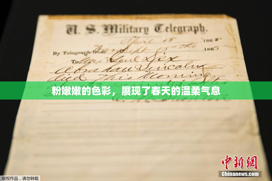粉嫩嫩的色彩，展现了春天的温柔气息