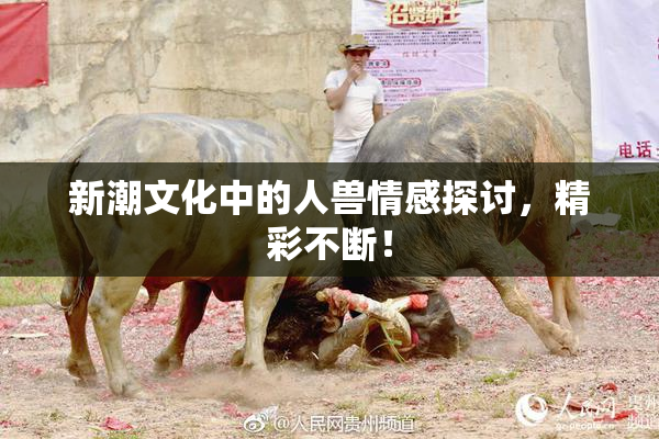 新潮文化中的人兽情感探讨，精彩不断！