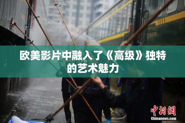 欧美影片中融入了《高级》独特的艺术魅力