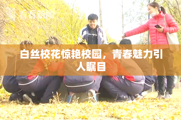 白丝校花惊艳校园，青春魅力引人瞩目