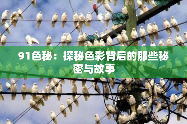 91色秘：探秘色彩背后的那些秘密与故事
