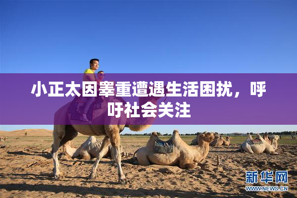 小正太因睾重遭遇生活困扰，呼吁社会关注
