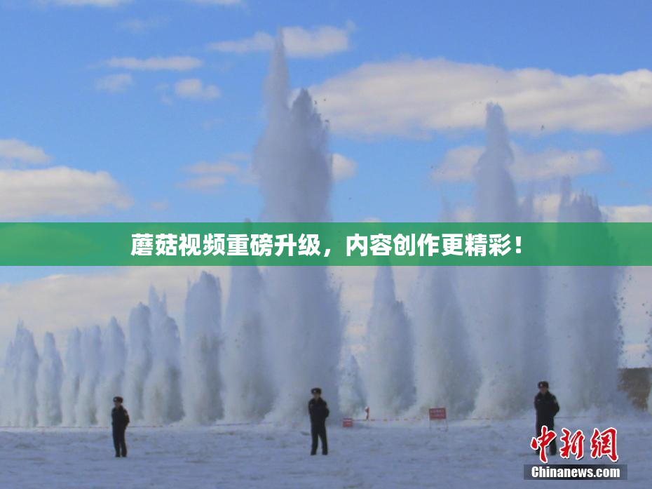蘑菇视频重磅升级，内容创作更精彩！