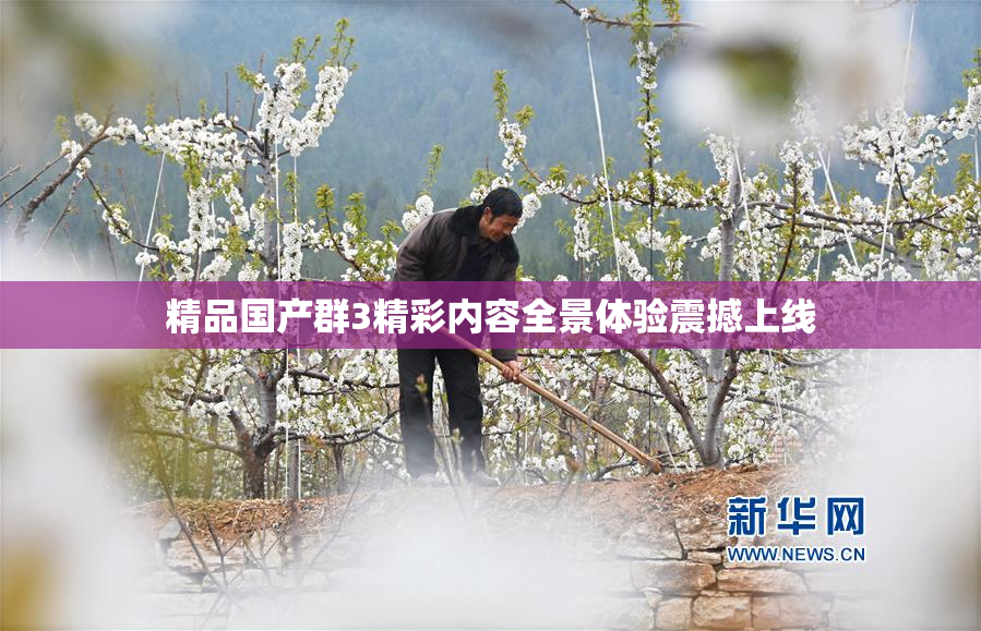 精品国产群3精彩内容全景体验震撼上线