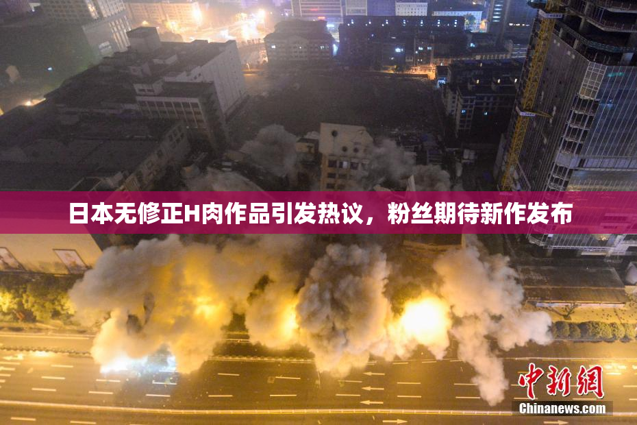 日本无修正H肉作品引发热议，粉丝期待新作发布