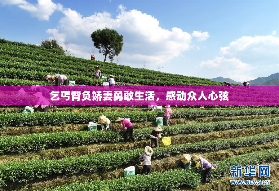 乞丐背负娇妻勇敢生活，感动众人心弦