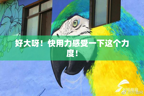 好大呀！快用力感受一下这个力度！