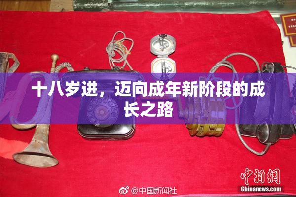 十八岁进，迈向成年新阶段的成长之路