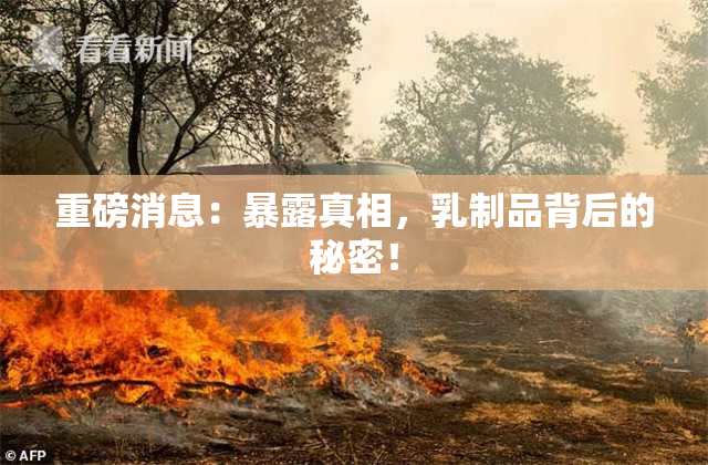 重磅消息：暴露真相，乳制品背后的秘密！