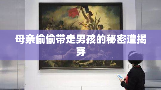 母亲偷偷带走男孩的秘密遭揭穿