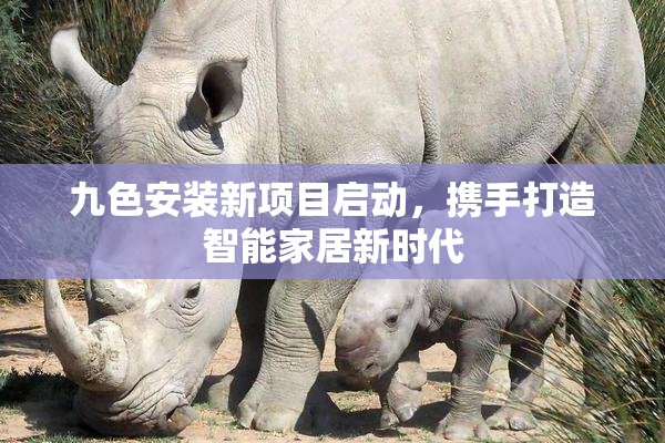 九色安装新项目启动，携手打造智能家居新时代