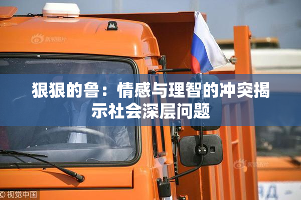 狠狠的鲁：情感与理智的冲突揭示社会深层问题