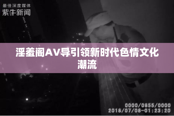 淫羞阁AV导引领新时代色情文化潮流