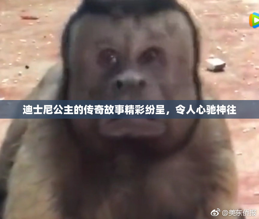 迪士尼公主的传奇故事精彩纷呈，令人心驰神往