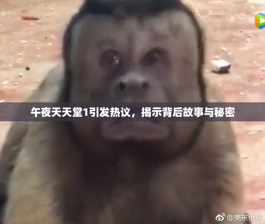 午夜天天堂1引发热议，揭示背后故事与秘密