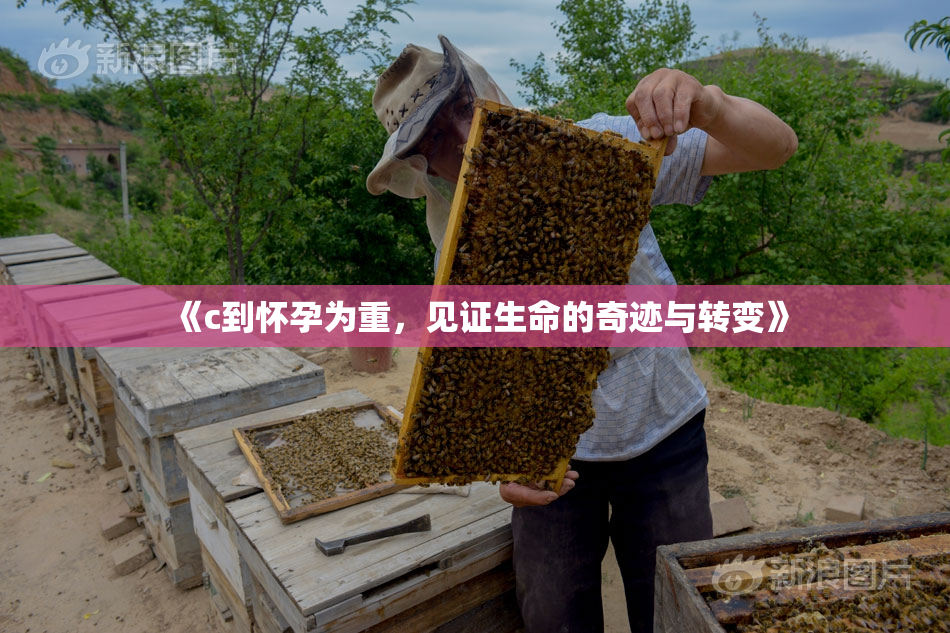 《c到怀孕为重，见证生命的奇迹与转变》