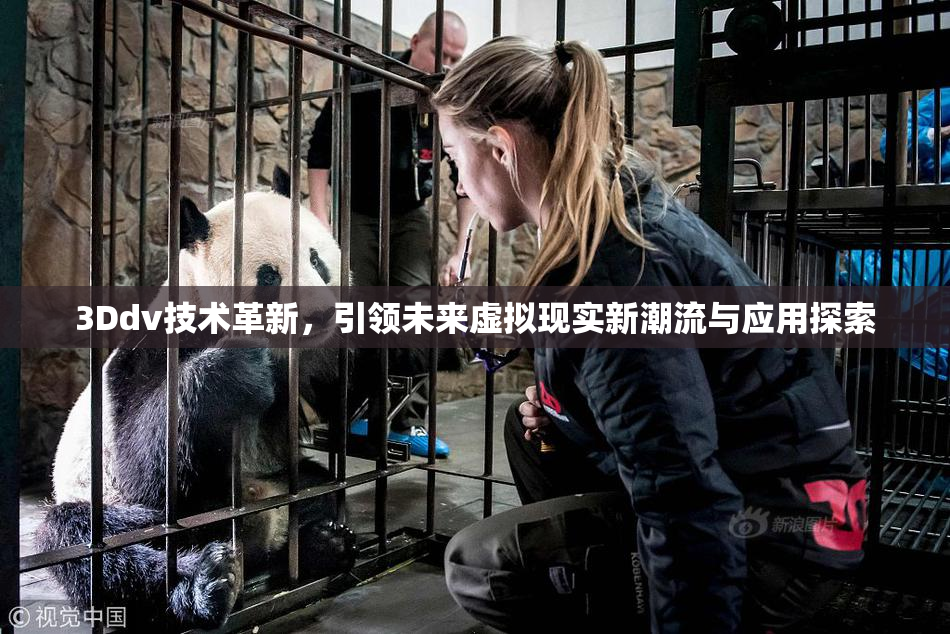 3Ddv技术革新，引领未来虚拟现实新潮流与应用探索