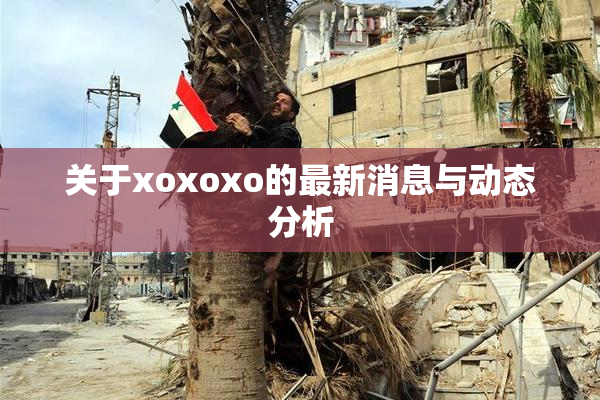 关于xoxoxo的最新消息与动态分析