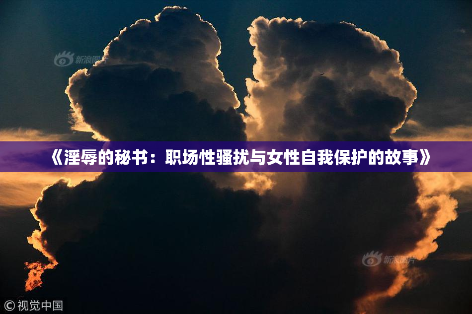 《淫辱的秘书：职场性骚扰与女性自我保护的故事》