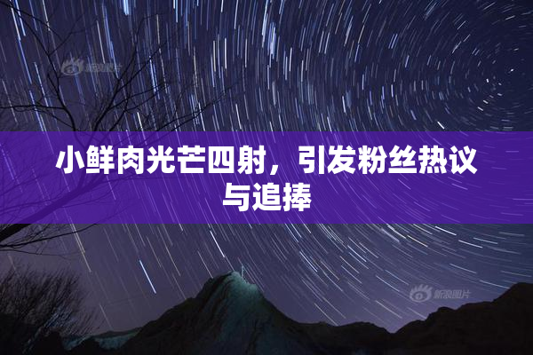 小鲜肉光芒四射，引发粉丝热议与追捧