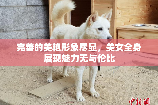 完善的美艳形象尽显，美女全身展现魅力无与伦比