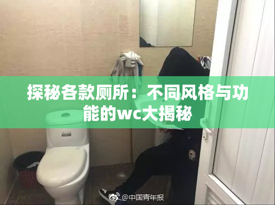 探秘各款厕所：不同风格与功能的wc大揭秘