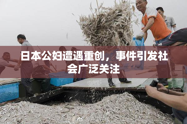 日本公妇遭遇重创，事件引发社会广泛关注
