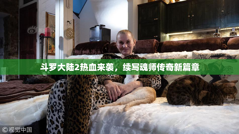 斗罗大陆2热血来袭，续写魂师传奇新篇章