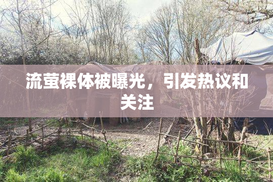 流萤裸体被曝光，引发热议和关注